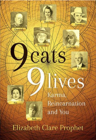 9 Cats 9 Lives