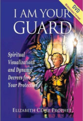 I AM Your Guard Visualizations - DVD